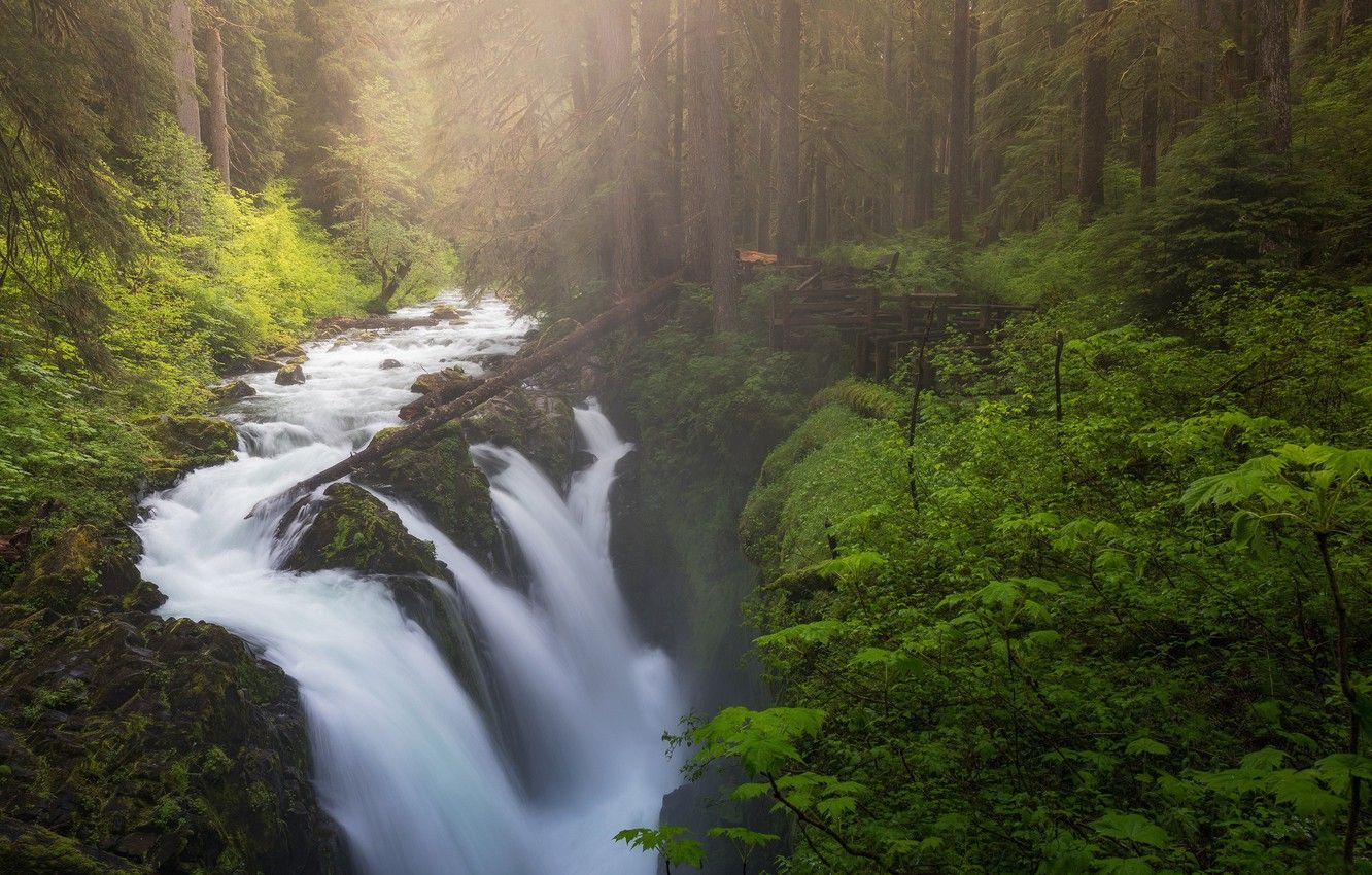 Olympic National Park Wallpapers