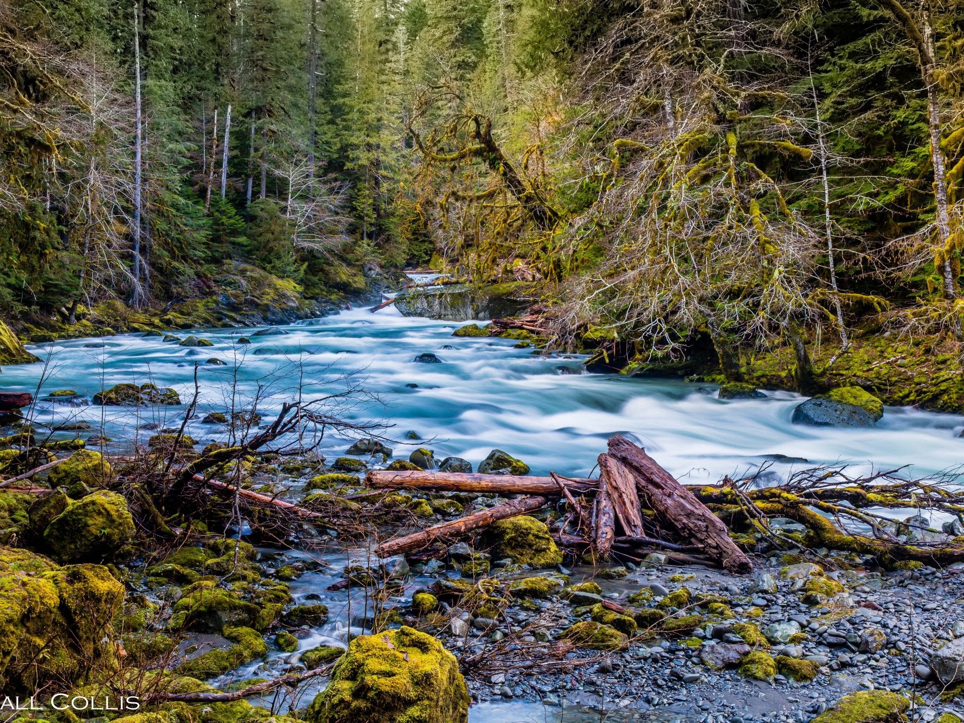 Olympic National Park Wallpapers