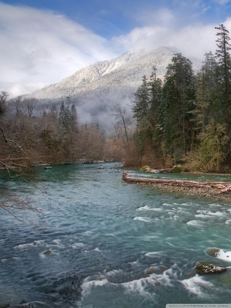 Olympic National Park Wallpapers