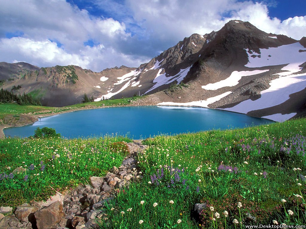 Olympic National Park Wallpapers