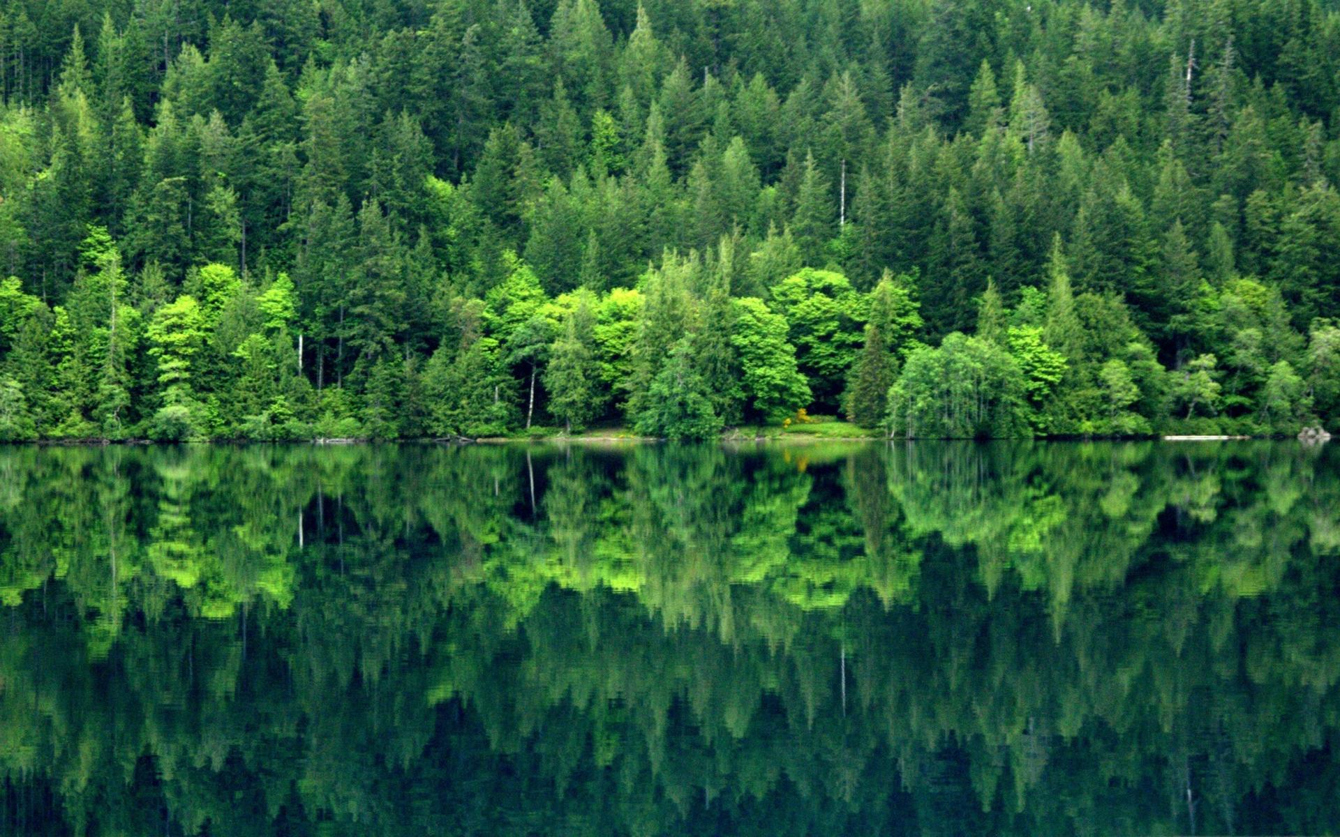 Olympic National Park Wallpapers