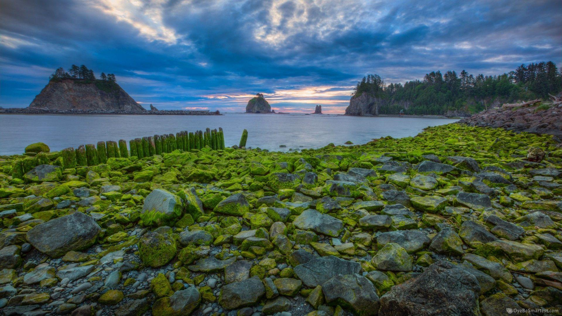 Olympic National Park Wallpapers