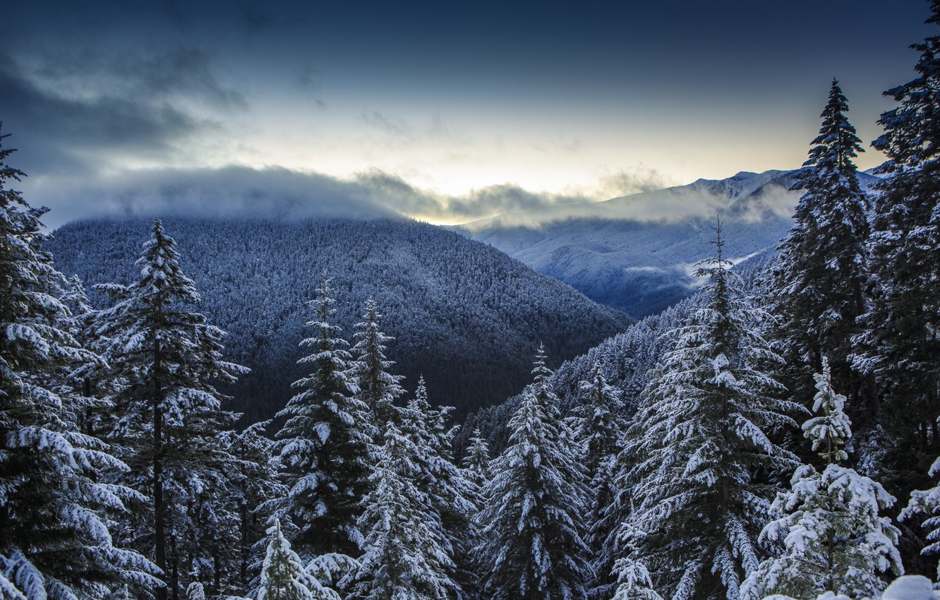 Olympic National Park Wallpapers