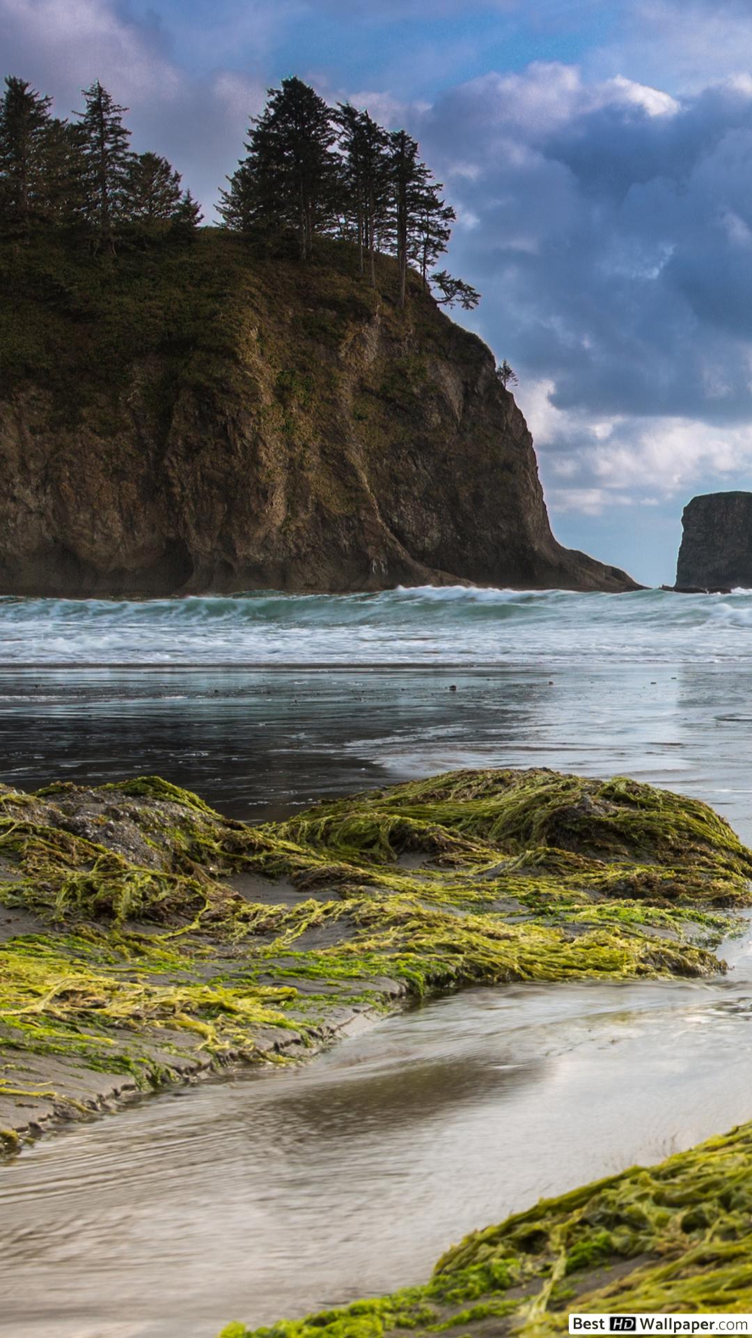 Olympic National Park Wallpapers