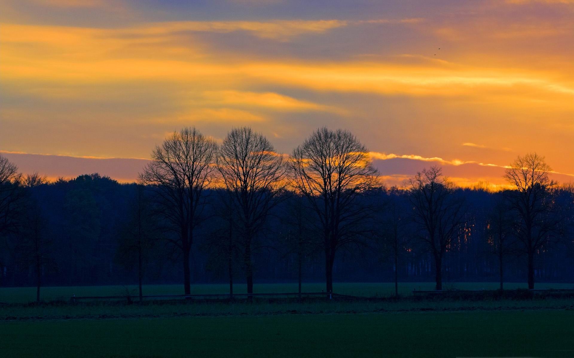 Orange Cloud In Countryside Wallpapers