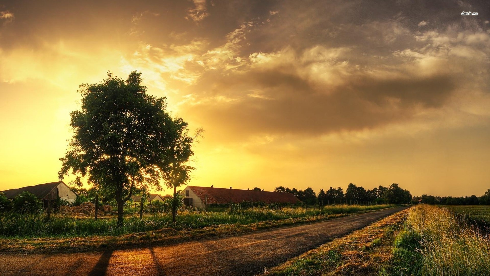 Orange Cloud In Countryside Wallpapers