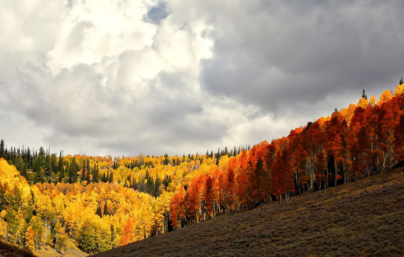 Orange Cloud In Countryside Wallpapers