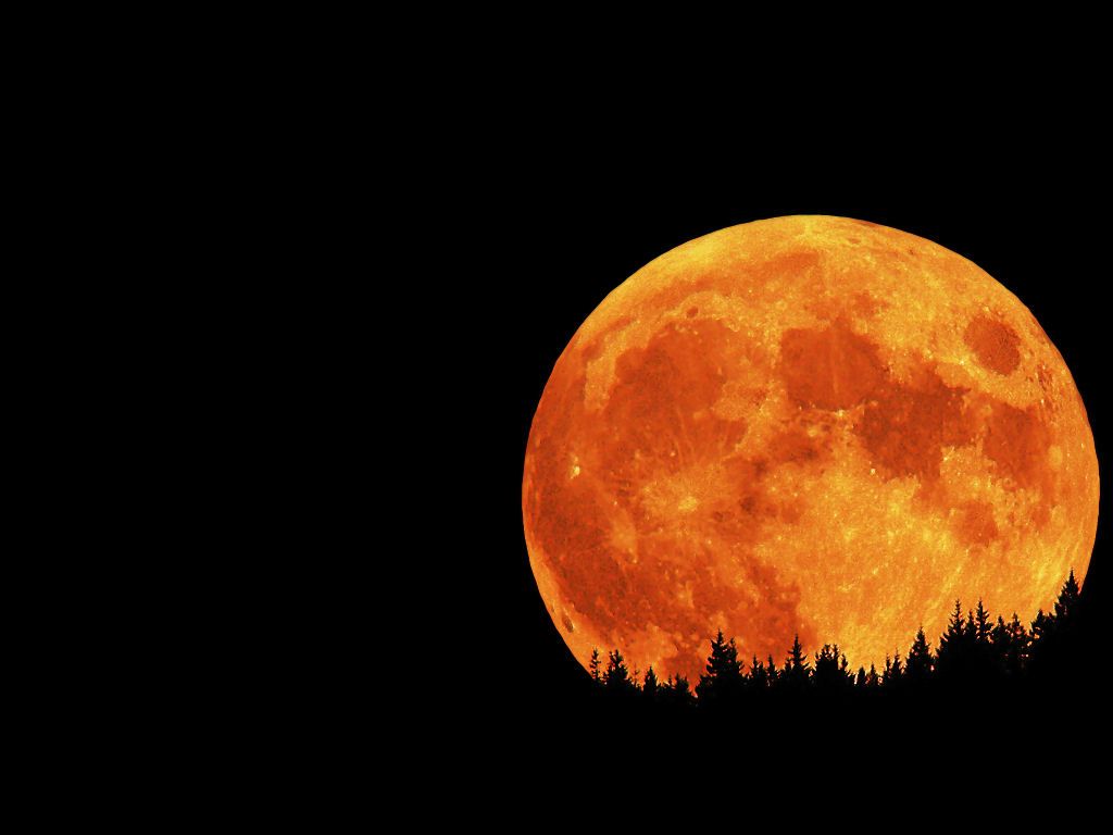 Orange Moon Near The Horizon Wallpapers