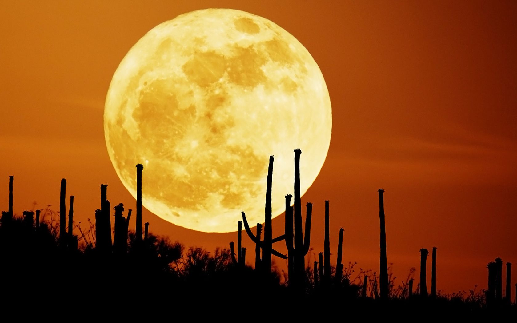 Orange Moon Near The Horizon Wallpapers