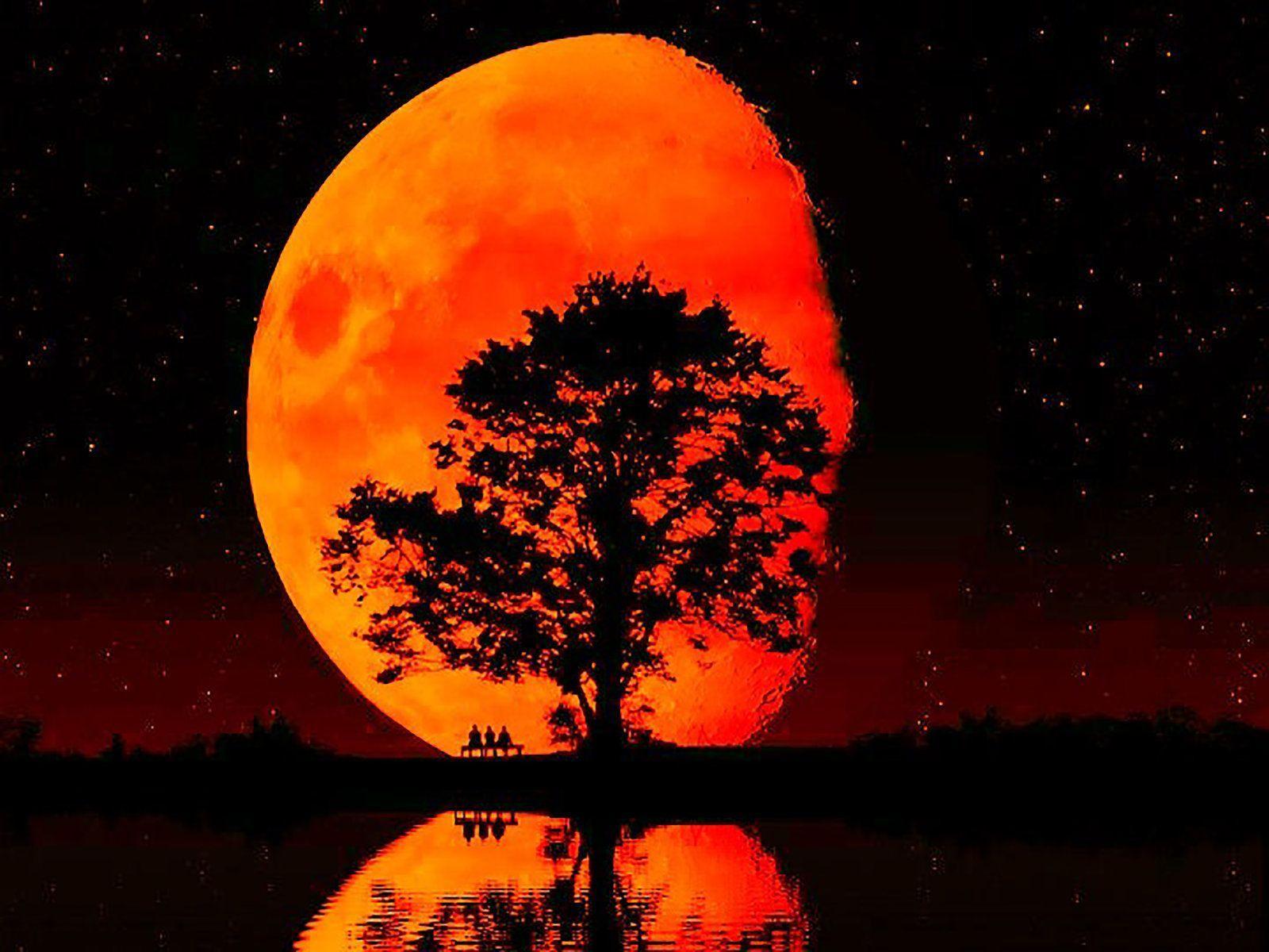 Orange Moon Near The Horizon Wallpapers