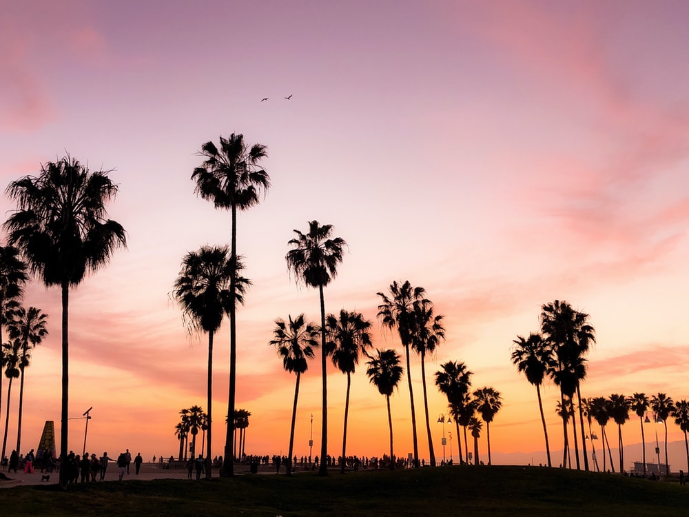 Pacific Sunset Sky Wallpapers