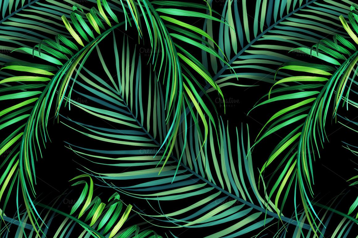 Palm Leaf Wallpapers