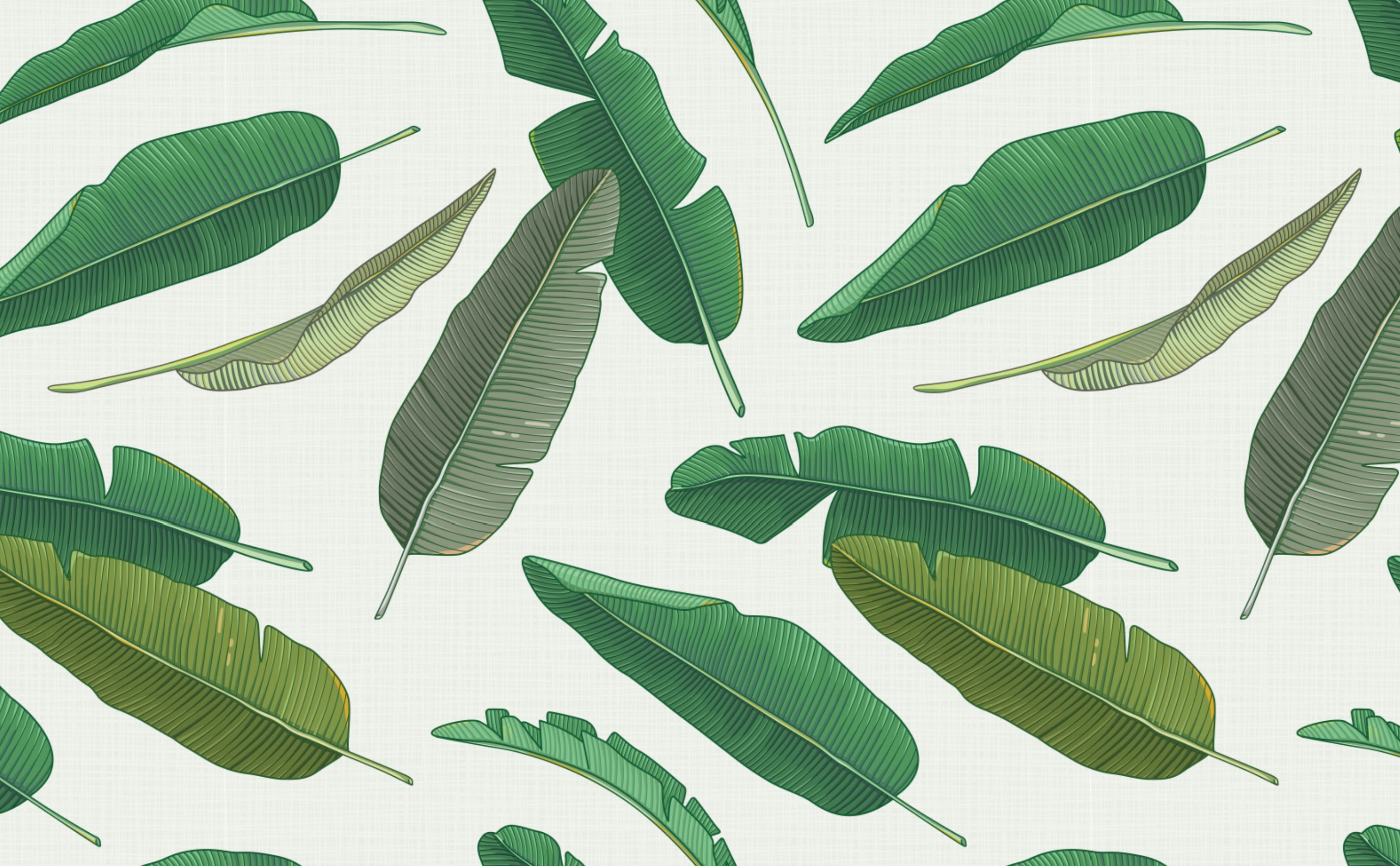 Palm Leaf Wallpapers