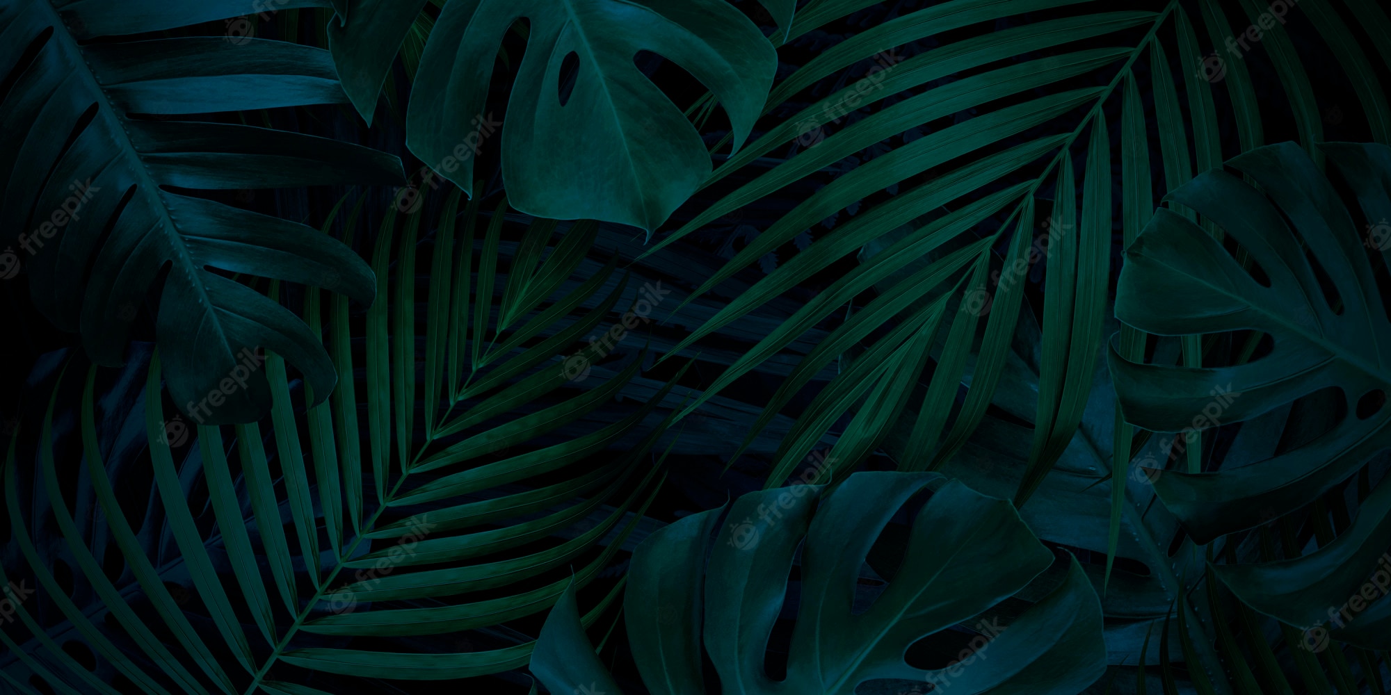 Palm Leaf Wallpapers