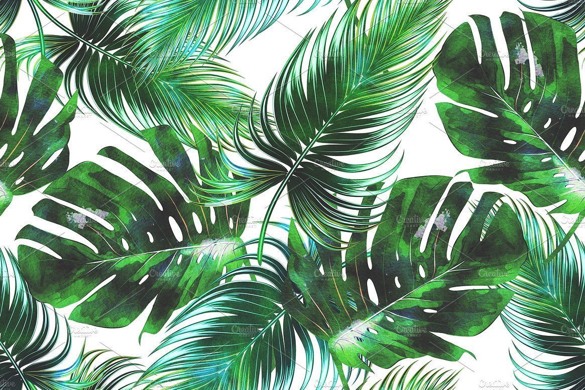 Palm Leaf Wallpapers