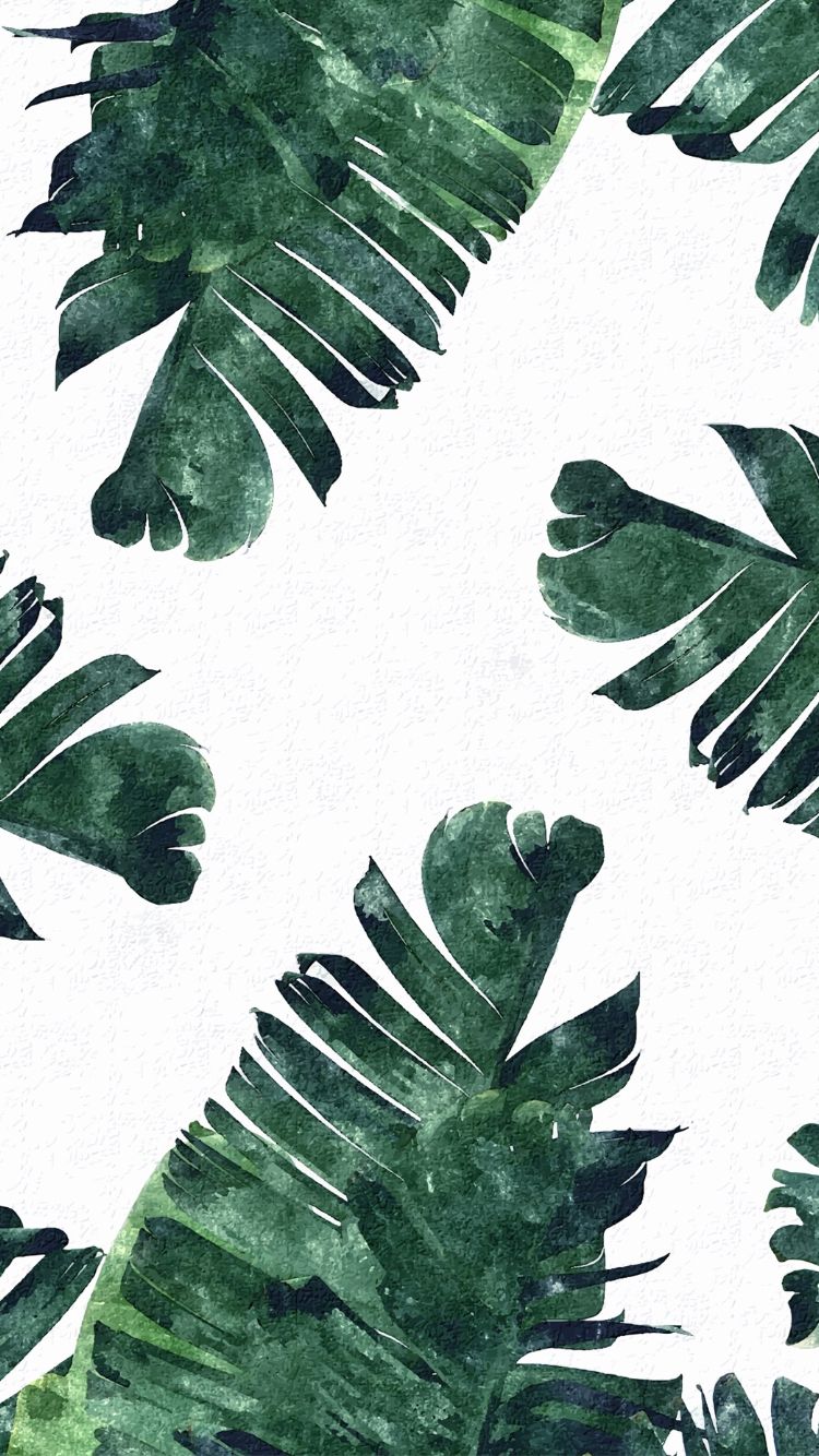 Palm Leaf Wallpapers