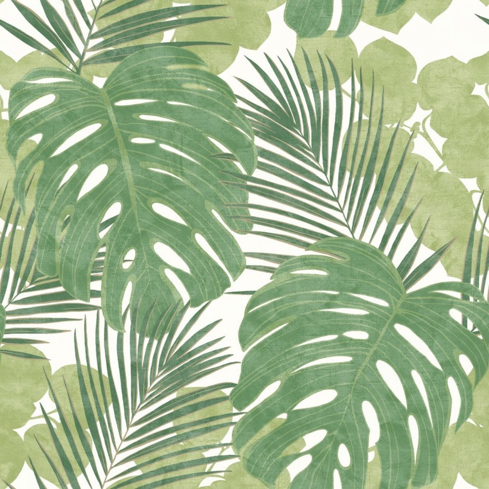 Palm Leaf Wallpapers