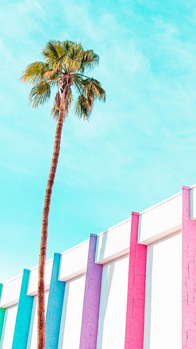 Palm Springs Wallpapers