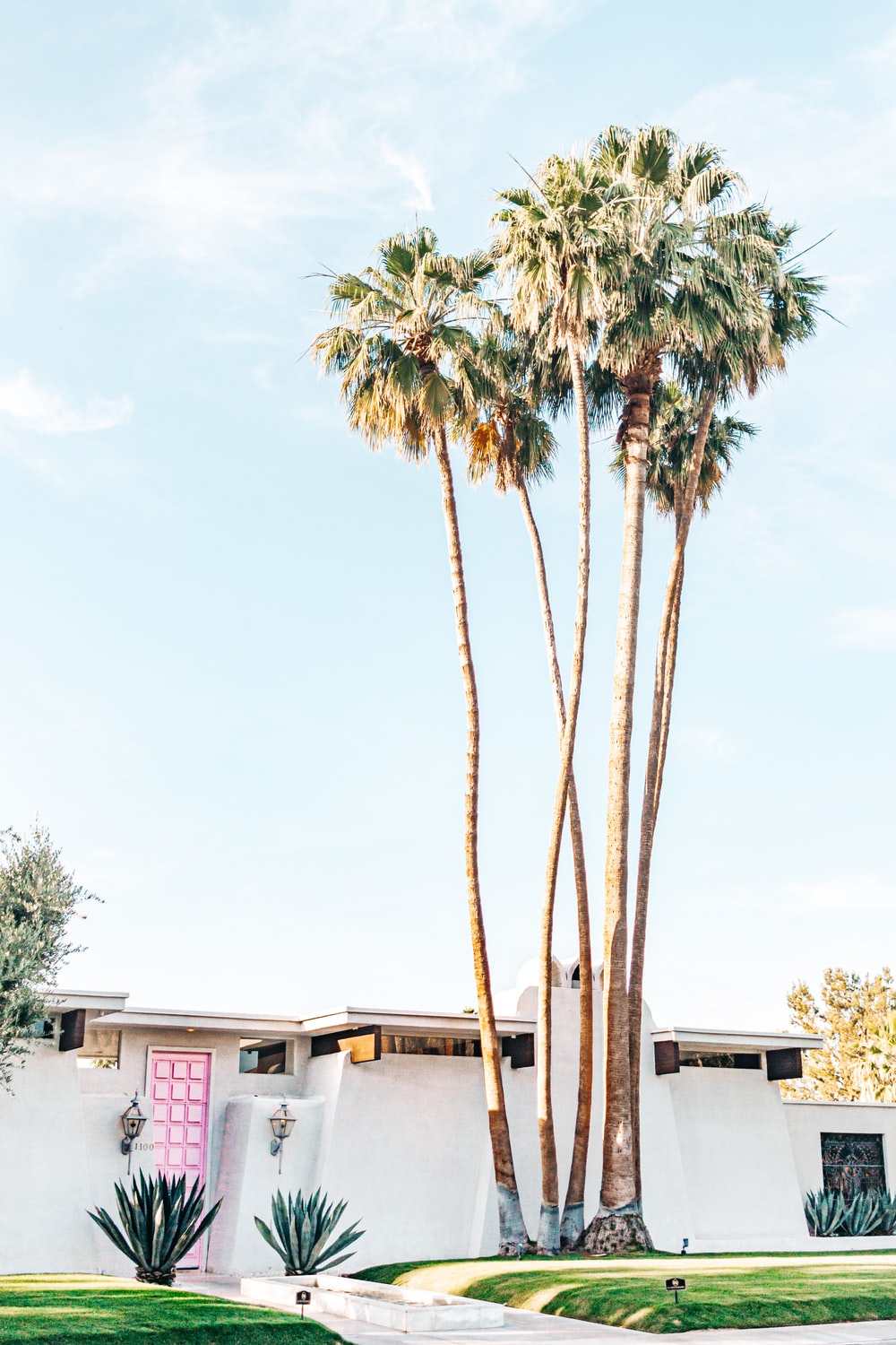 Palm Springs Wallpapers