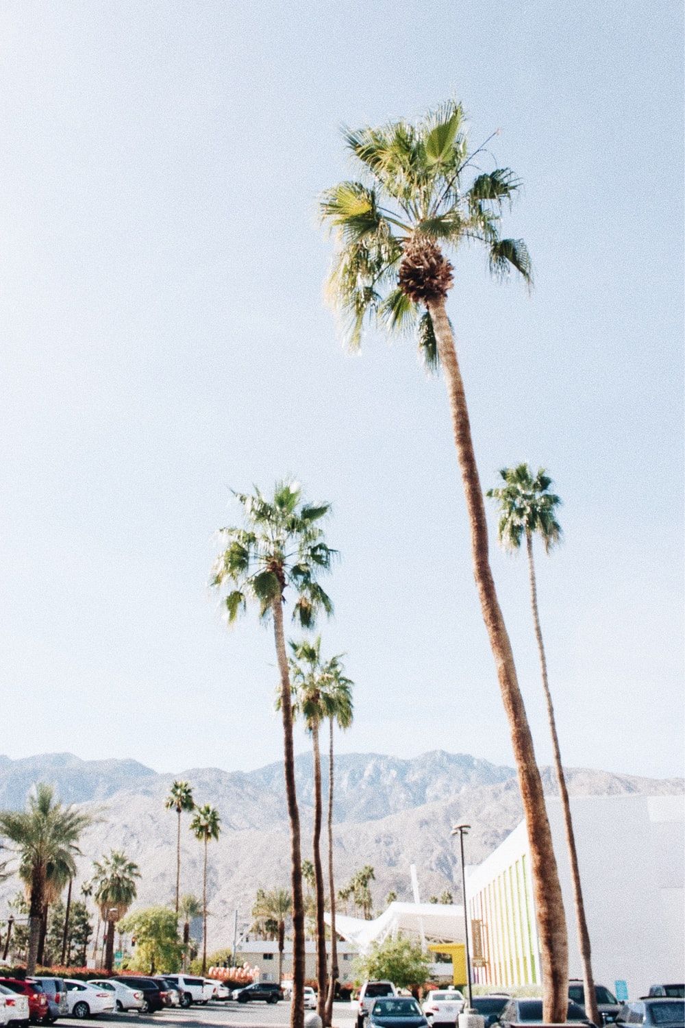 Palm Springs Wallpapers