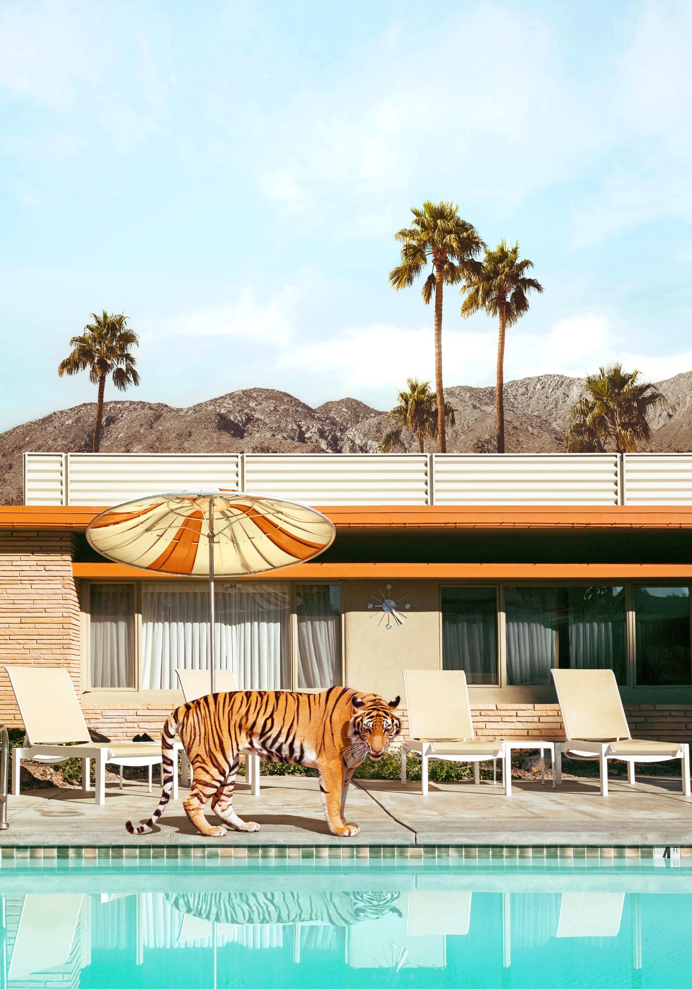 Palm Springs Wallpapers