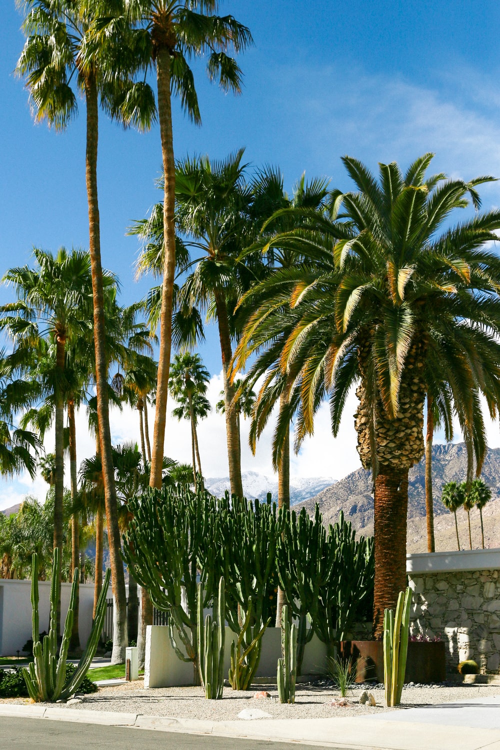 Palm Springs Wallpapers