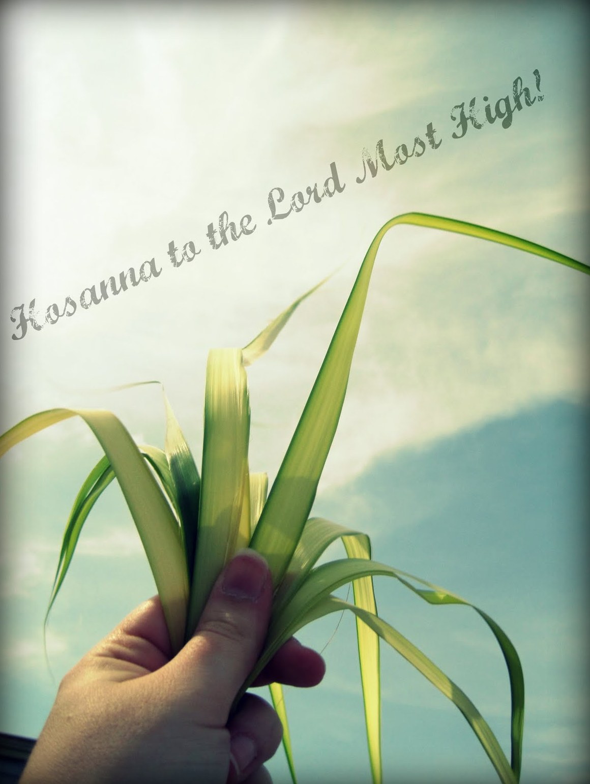 Palm Sunday Wallpapers