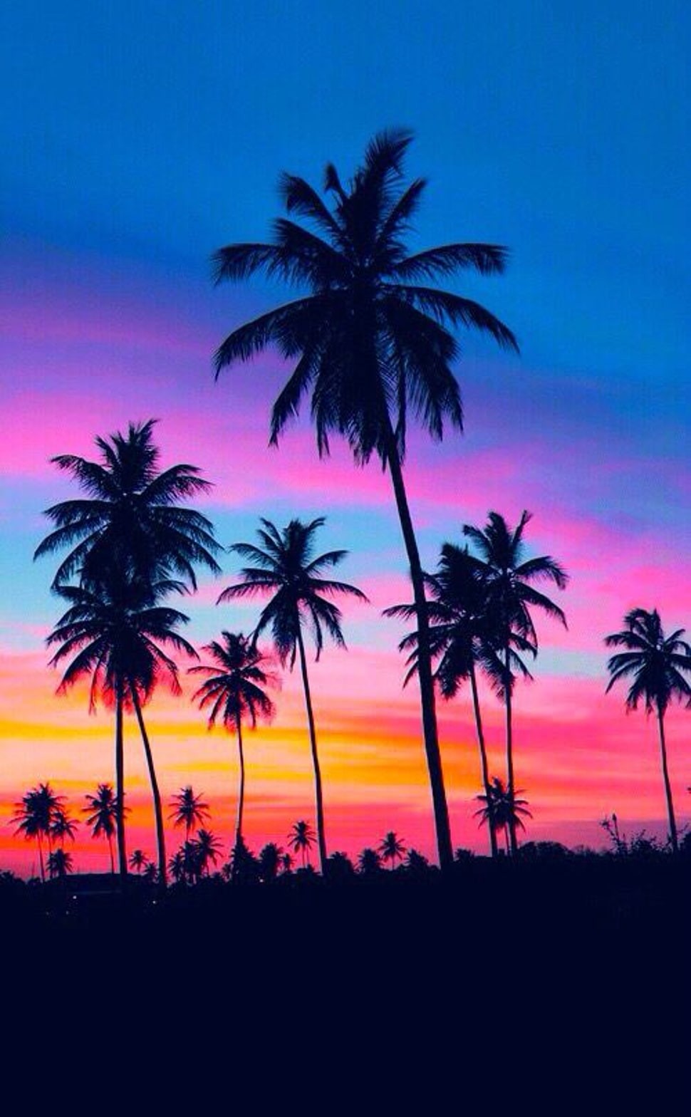 Palm Tree Wallpapers