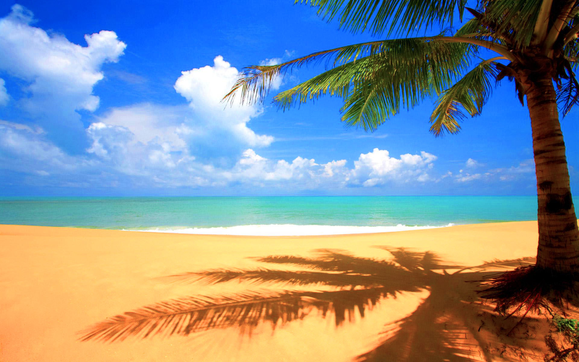 Palm Tree Beach Wallpapers