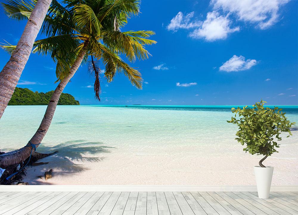 Palm Tree Beach Wallpapers