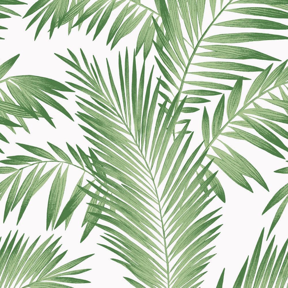 Palm Tree Leaf Wallpapers