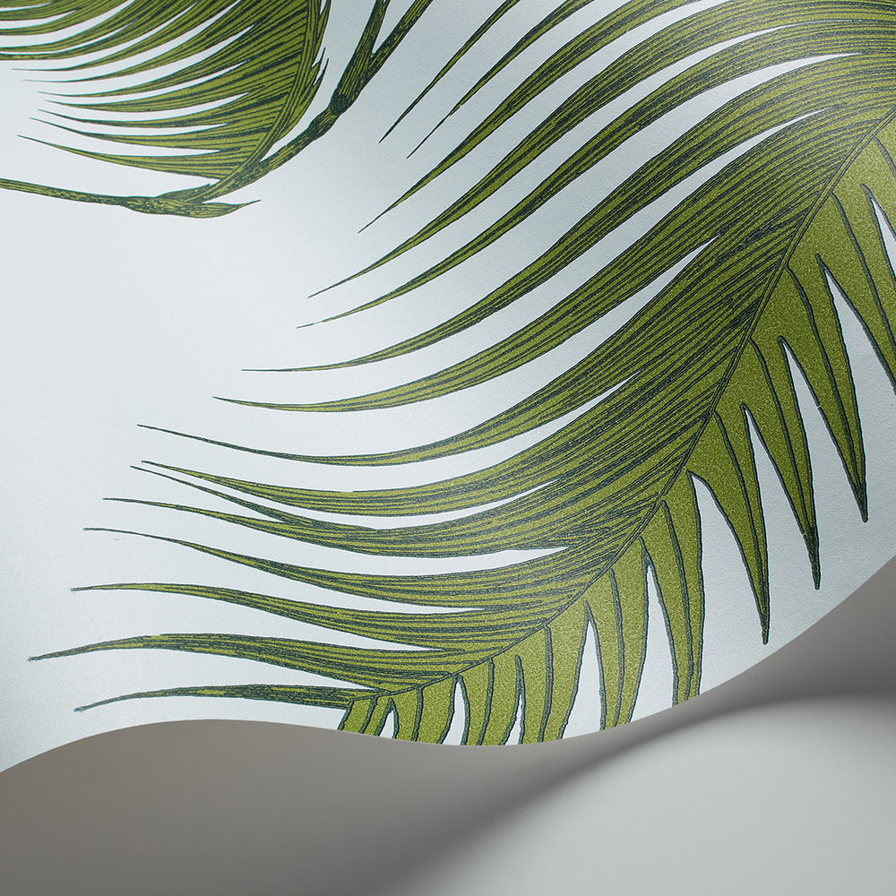 Palm Tree Leaf Wallpapers