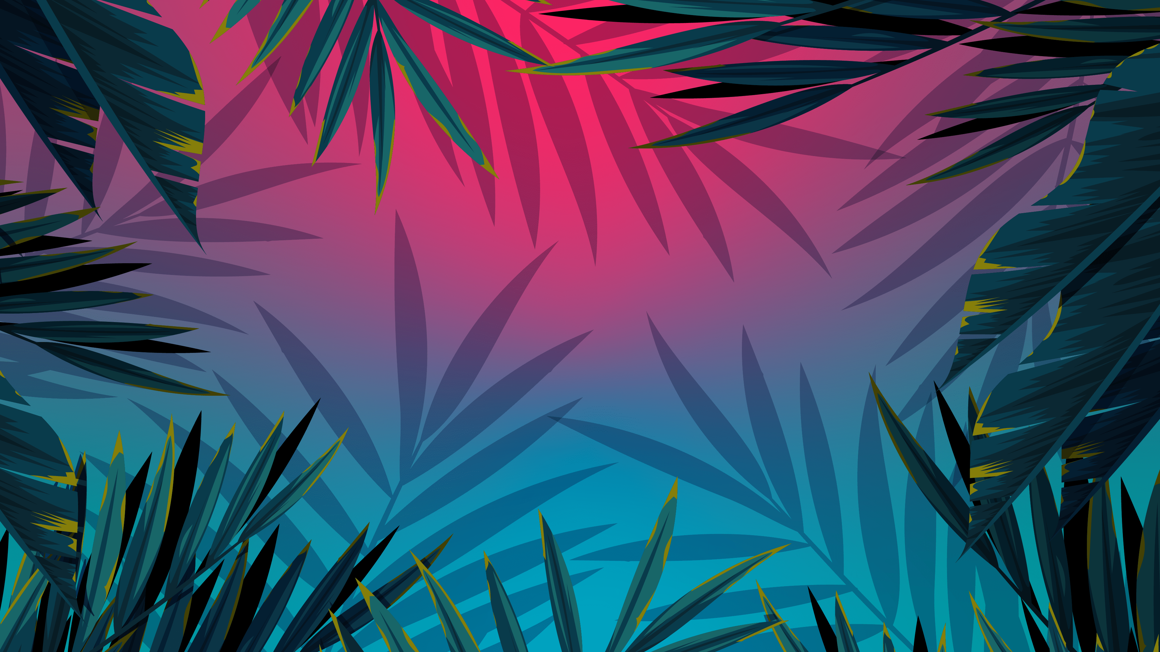 Palm Tree Leaf Wallpapers