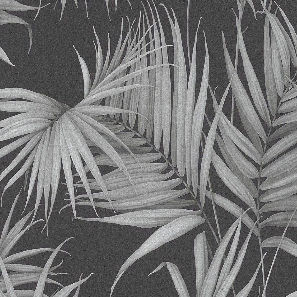 Palm Tree Leaf Wallpapers