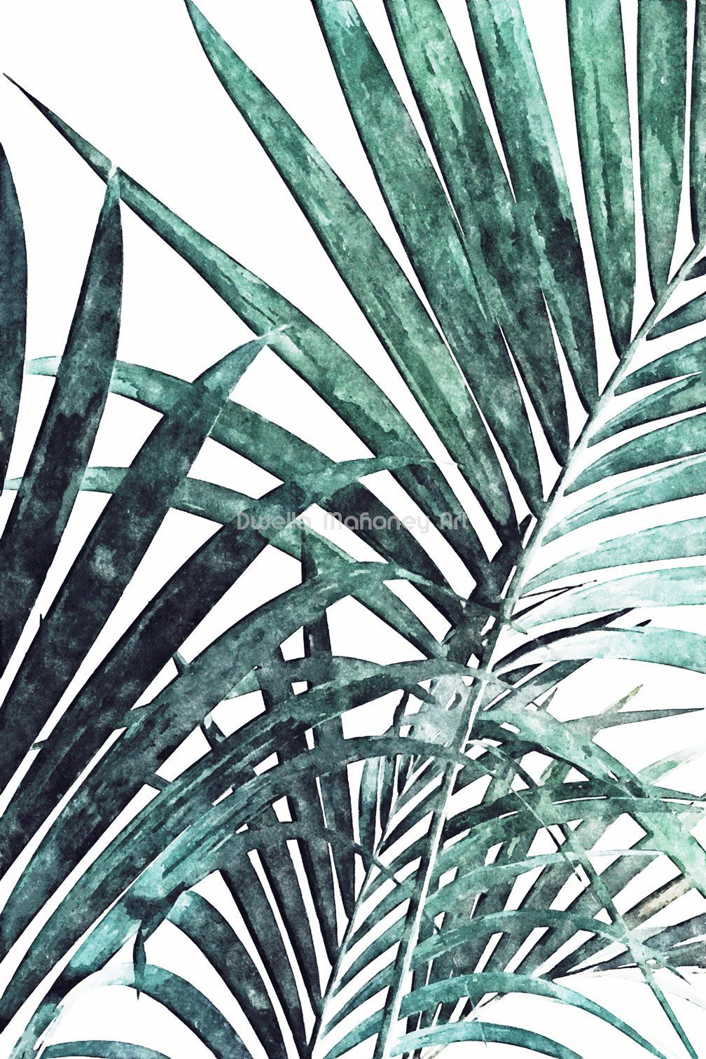 Palm Tree Leaf Wallpapers