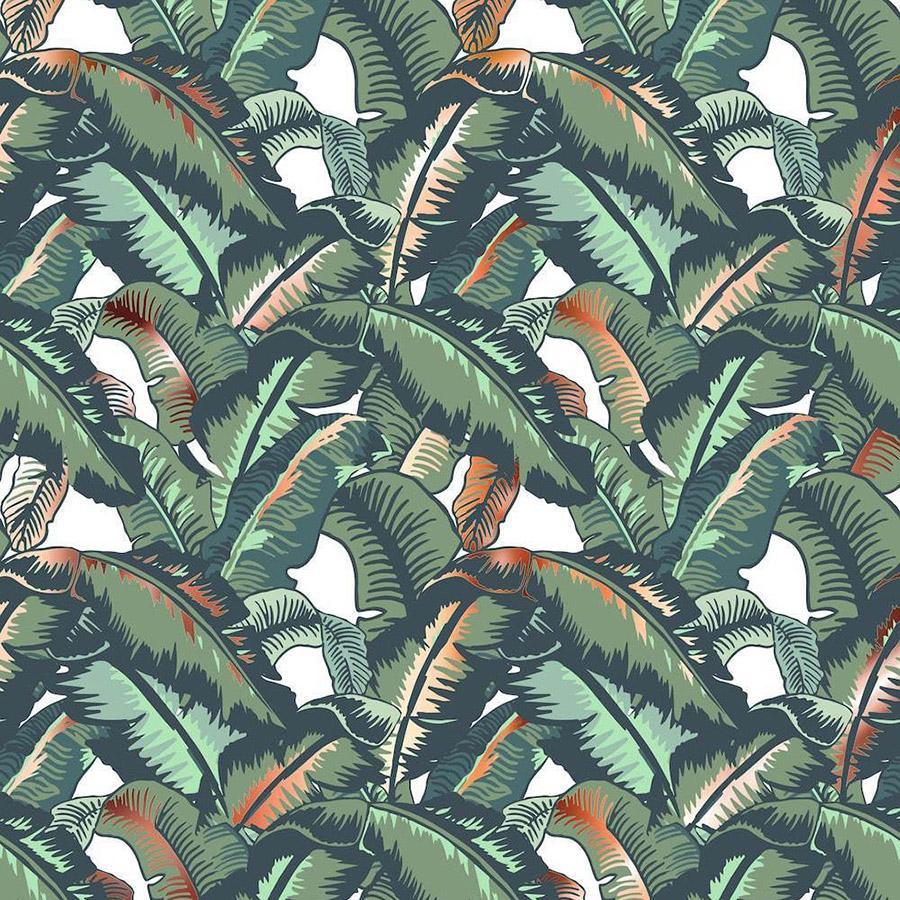 Palm Tree Leaf Wallpapers