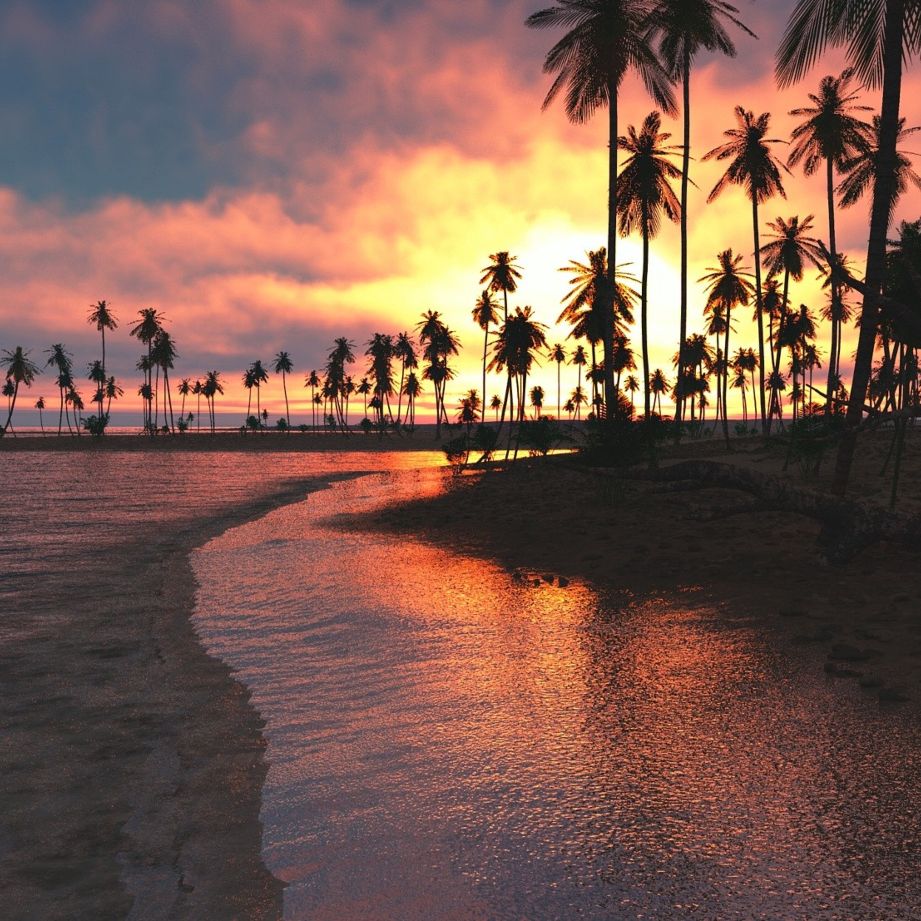 Palm Tree Sunset Wallpapers