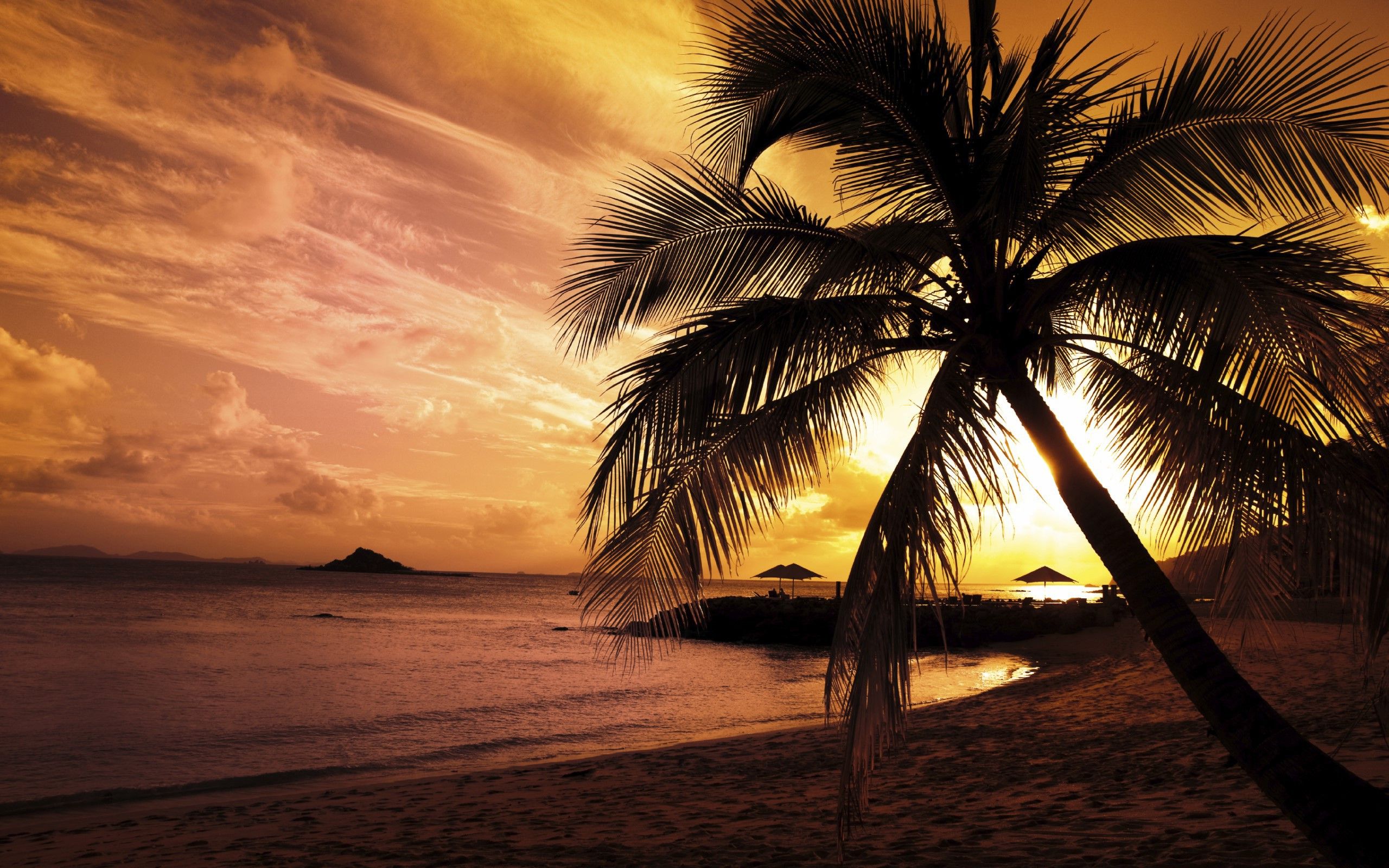 Palm Tree Sunset Wallpapers