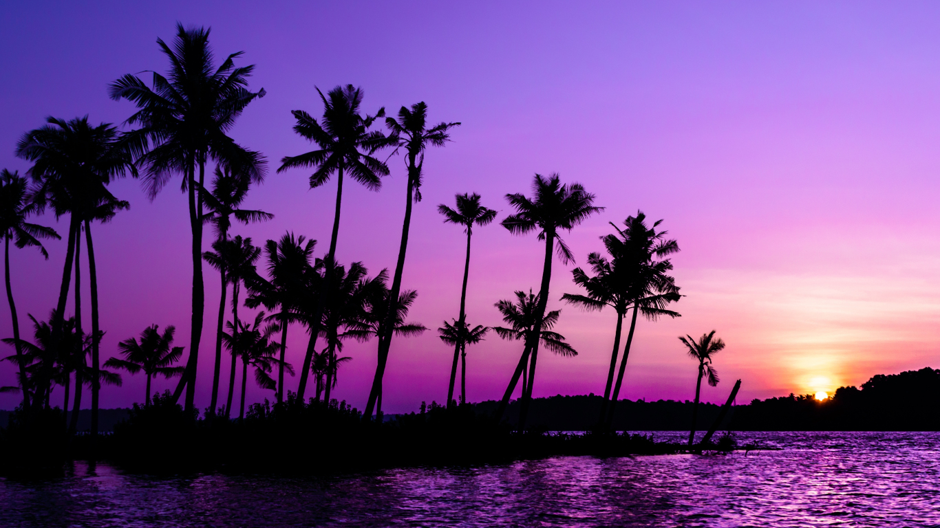 Palm Tree Sunset Wallpapers