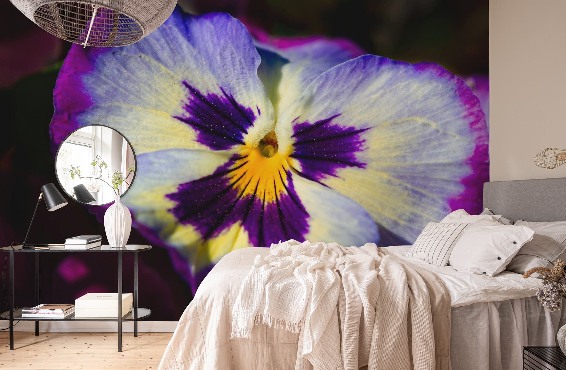 Pansy Wallpapers