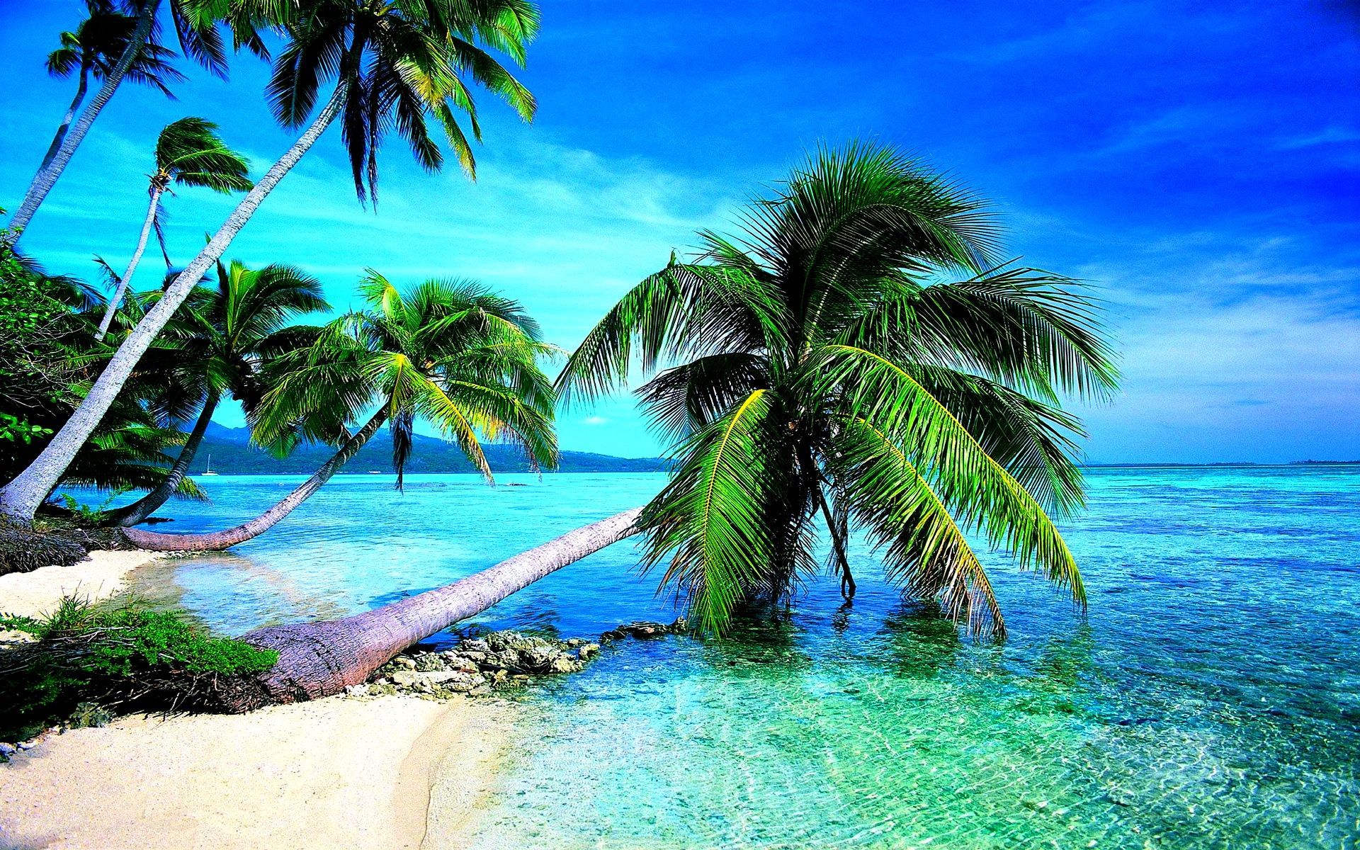 Paradise Island Wallpapers