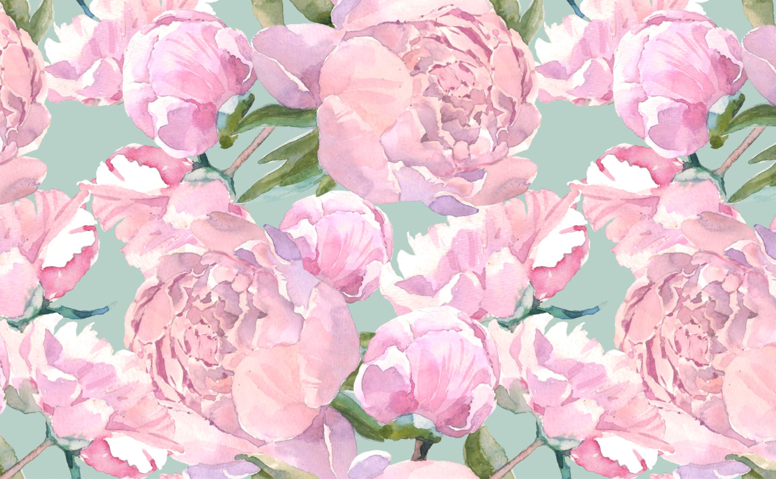 Peony Wallpapers