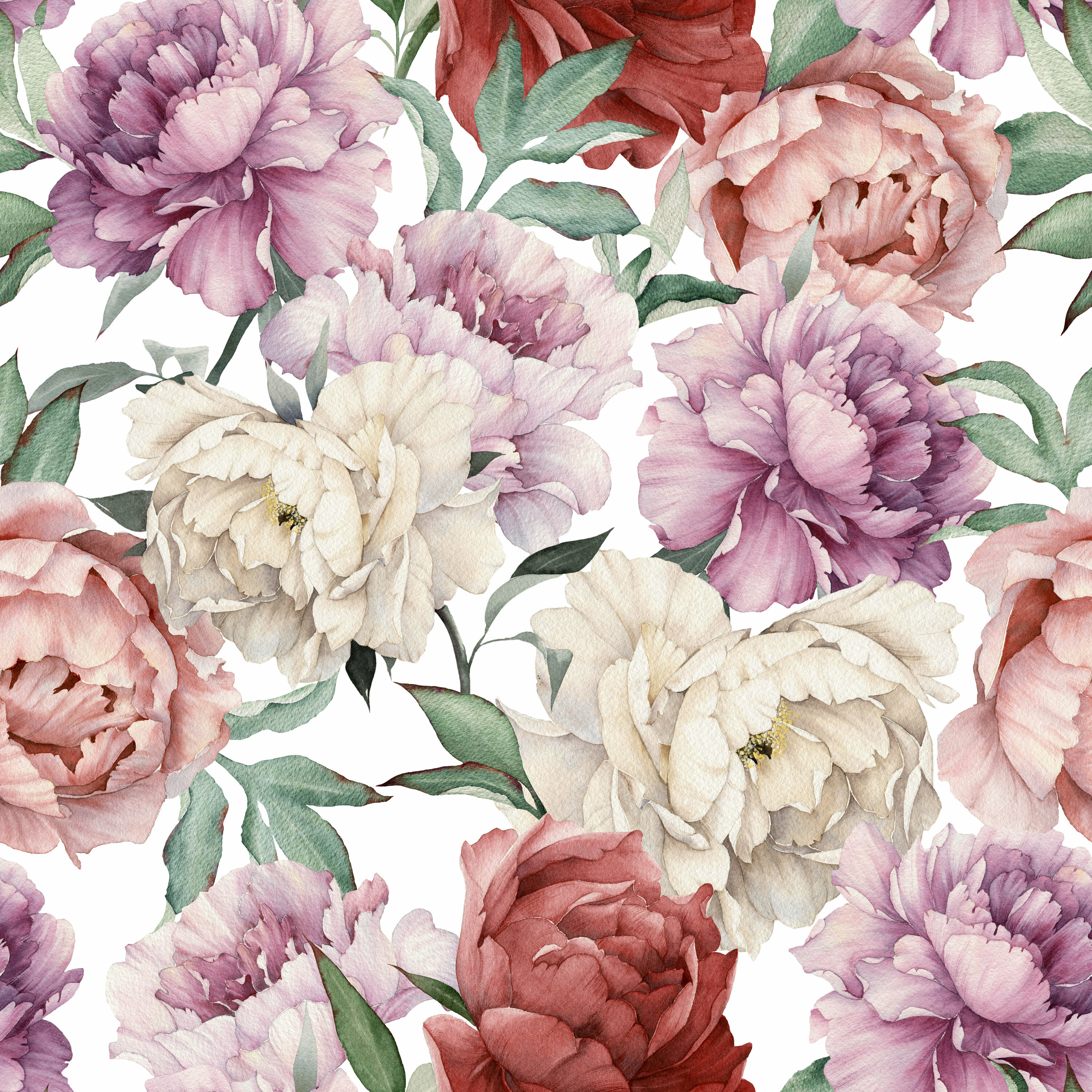 Peony Wallpapers