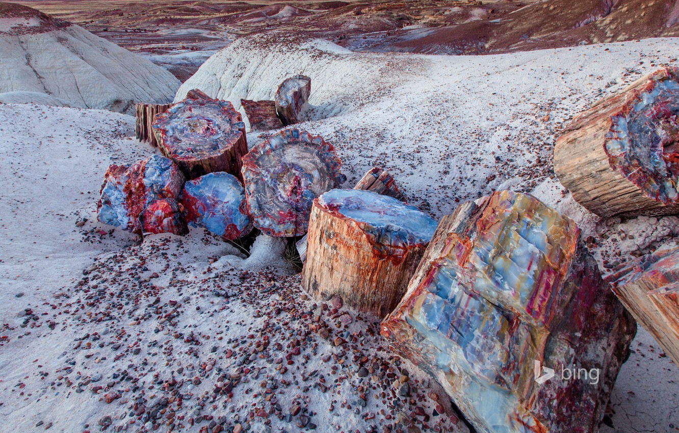 Petrified Forest National Park Wallpapers