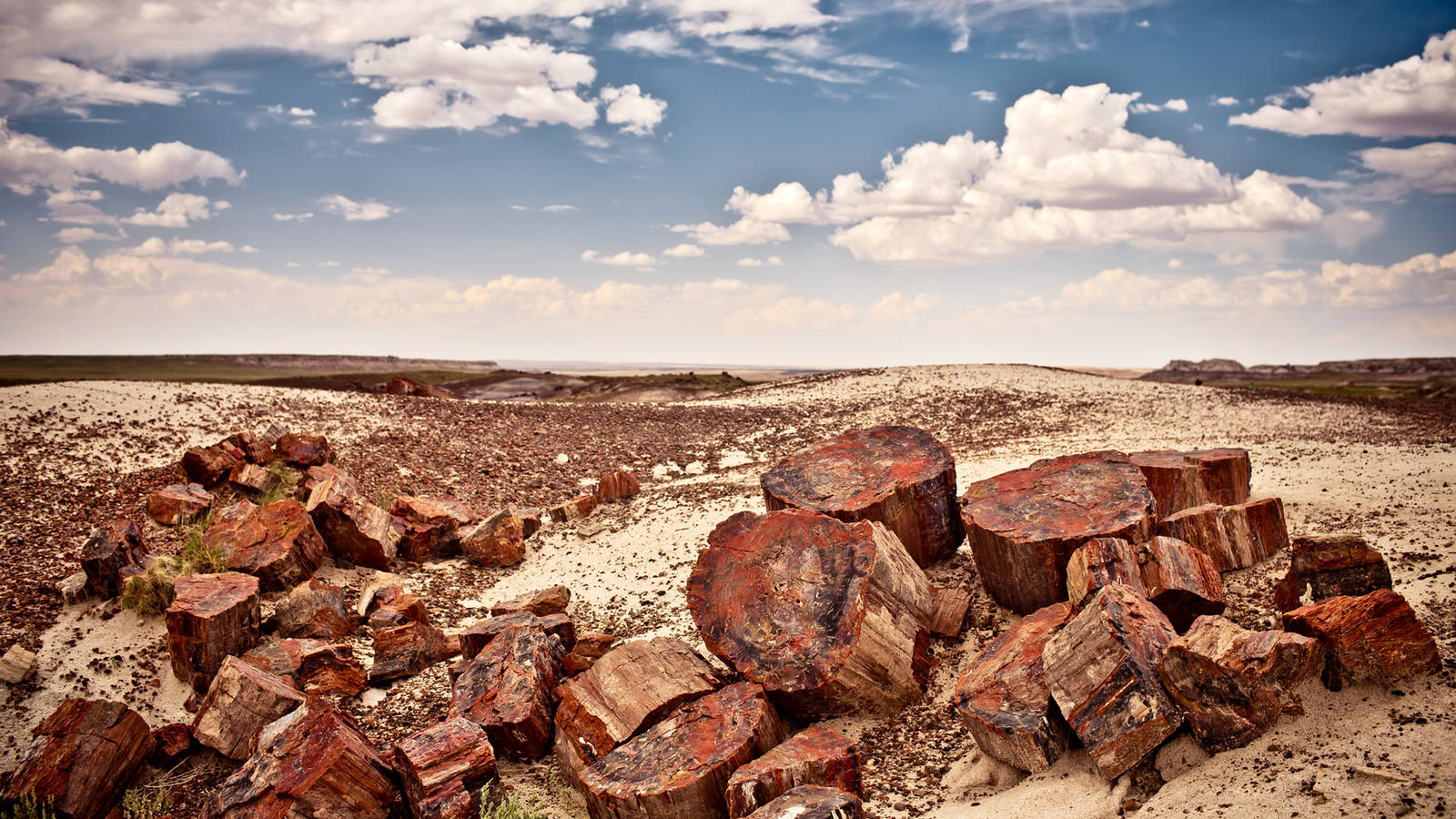 Petrified Forest National Park Wallpapers