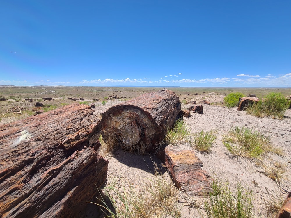 Petrified Forest National Park Wallpapers