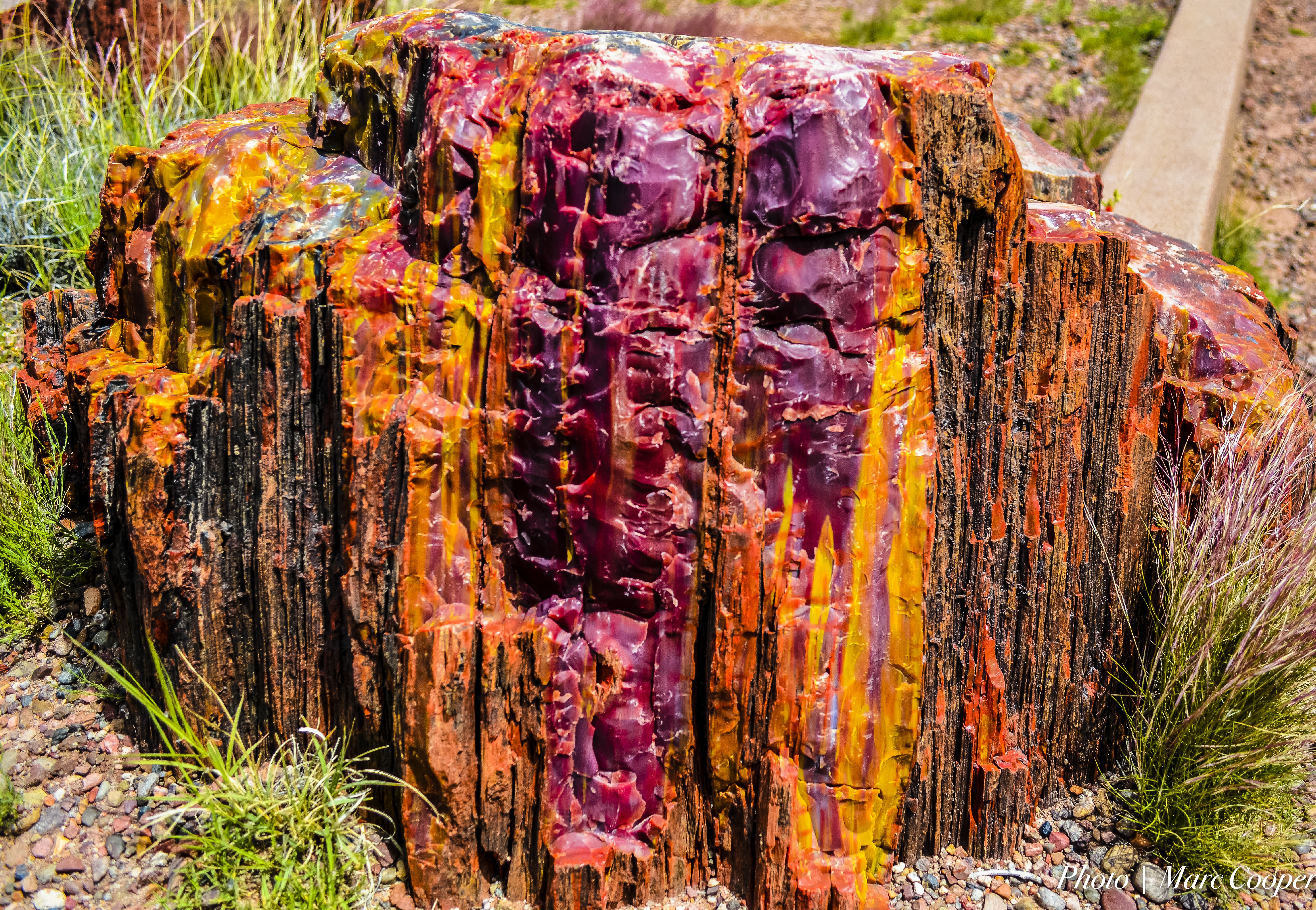 Petrified Forest National Park Wallpapers