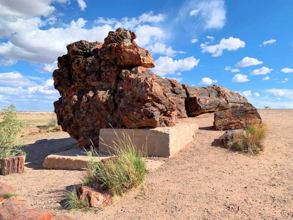 Petrified Forest National Park Wallpapers