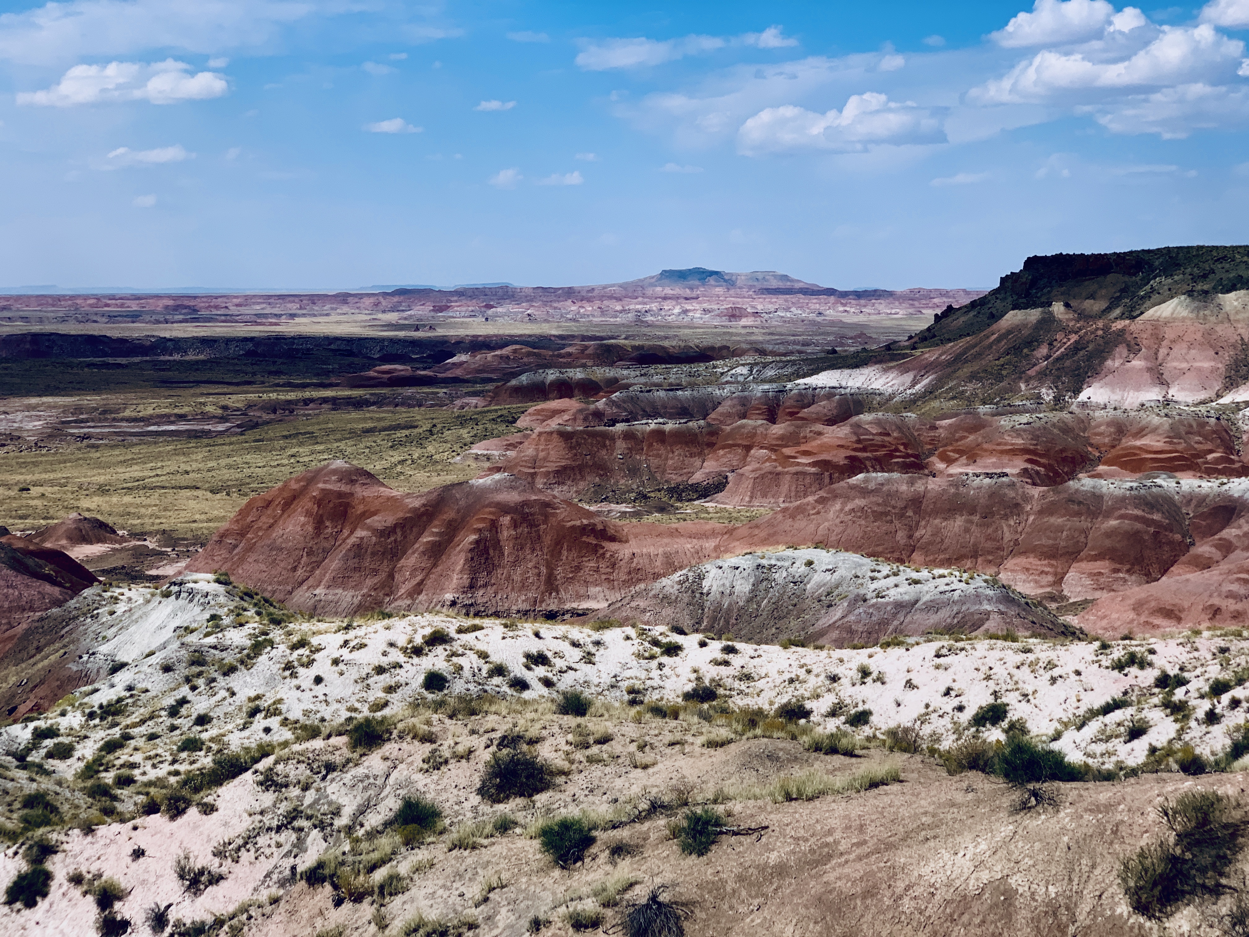 Petrified Forest National Park Wallpapers