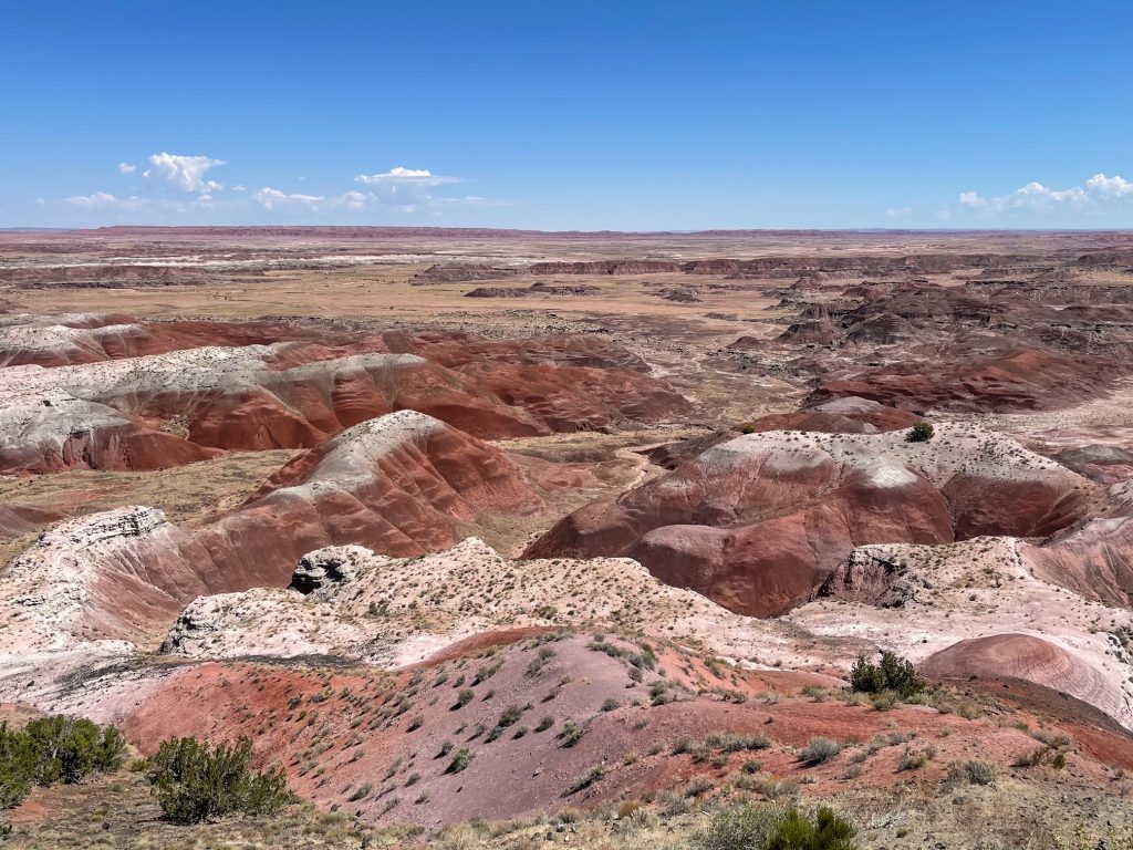 Petrified Forest National Park Wallpapers